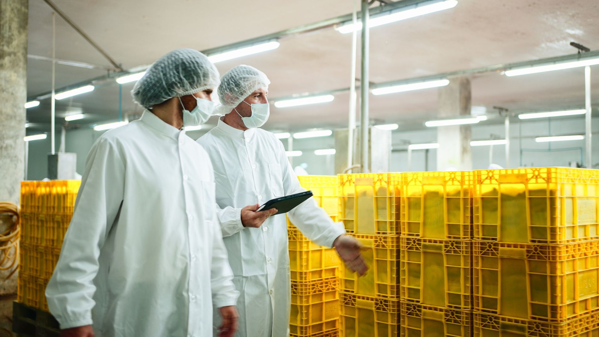 Dependable food manufacturing and warehouse facility labor
