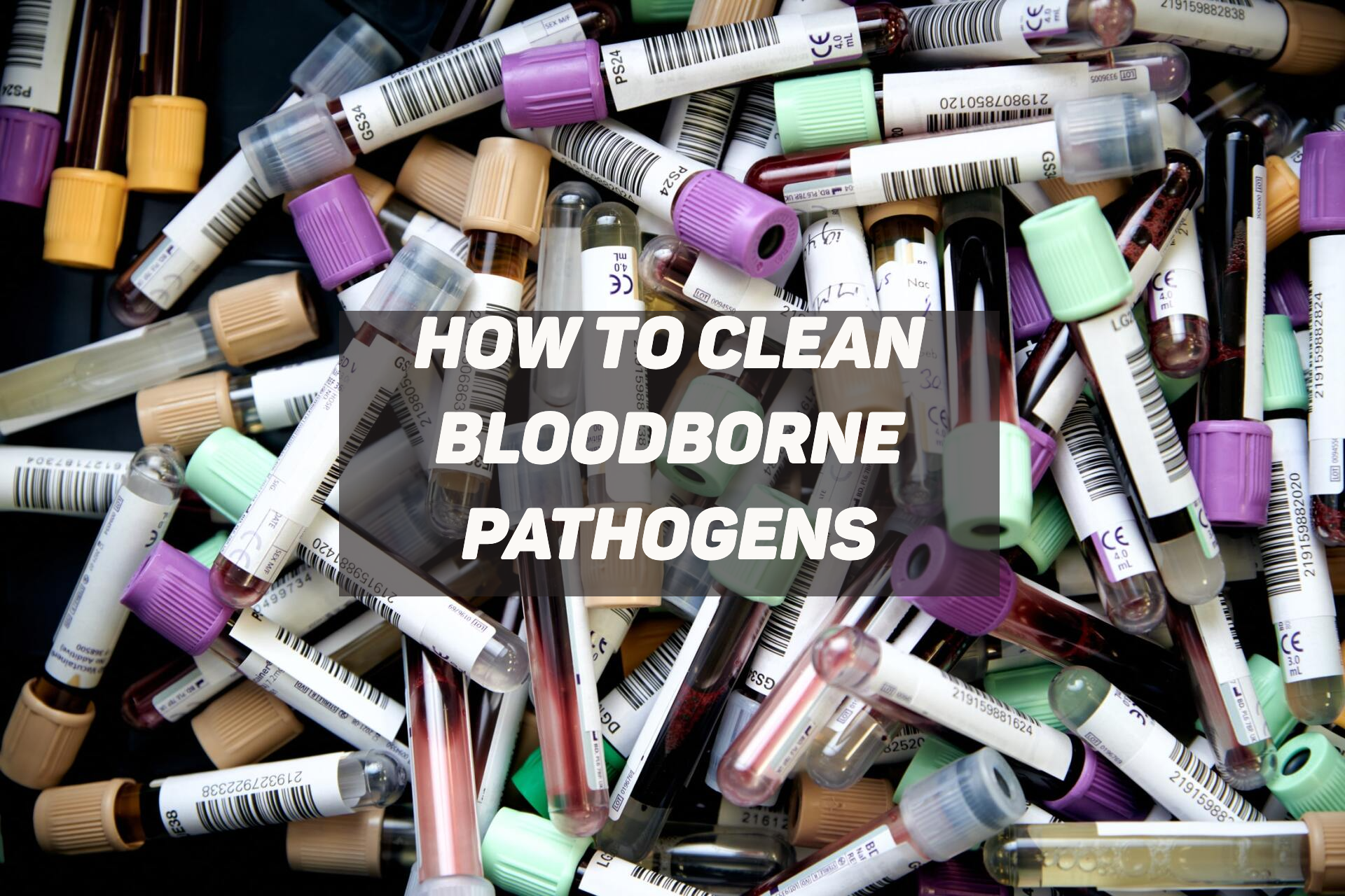 Scattered blood test tubes with the text “How to clean bloodborne pathogens”