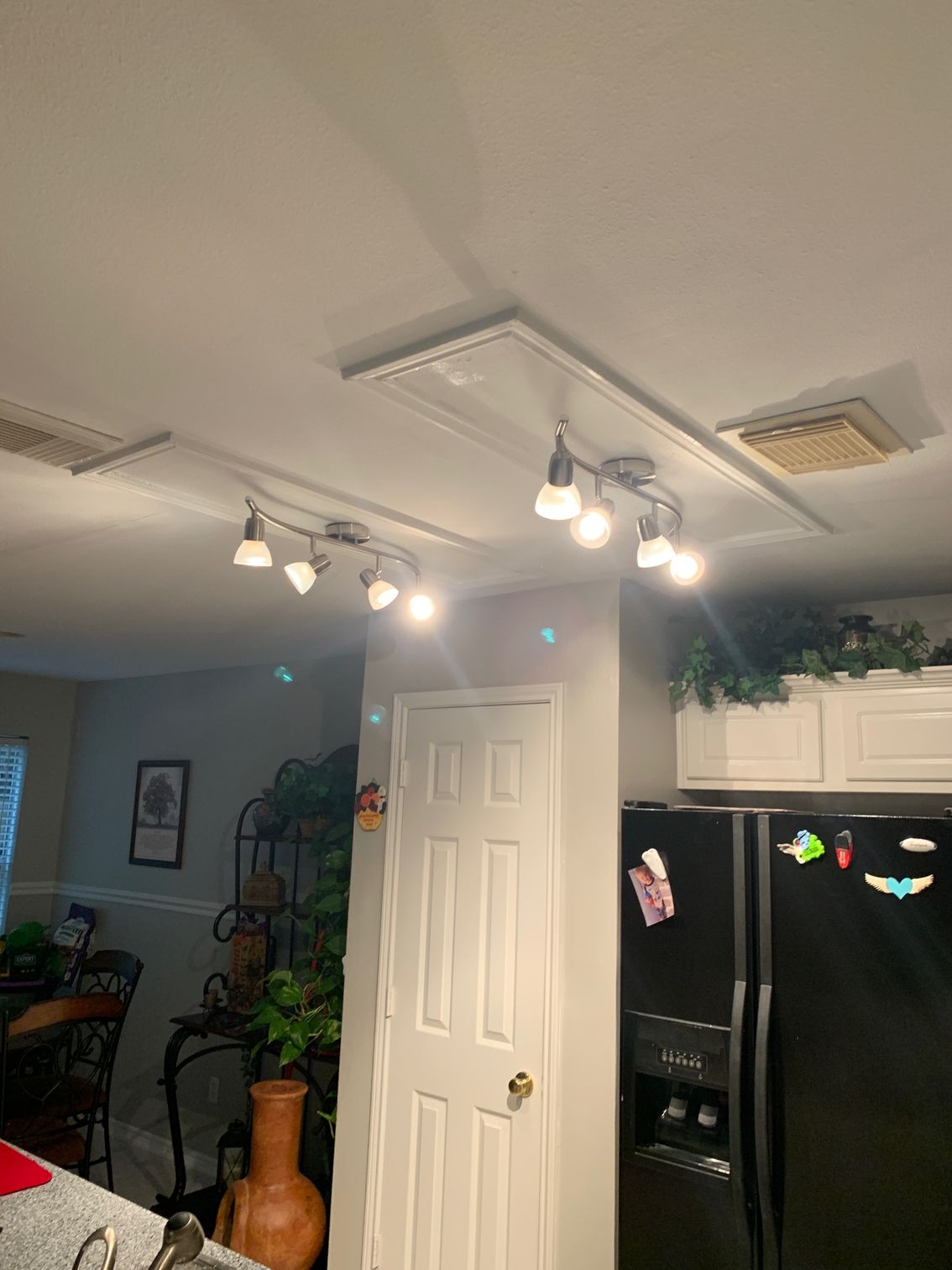 Kitchen ceiling with track lights and a white door beside a black refrigerator with greenery on top