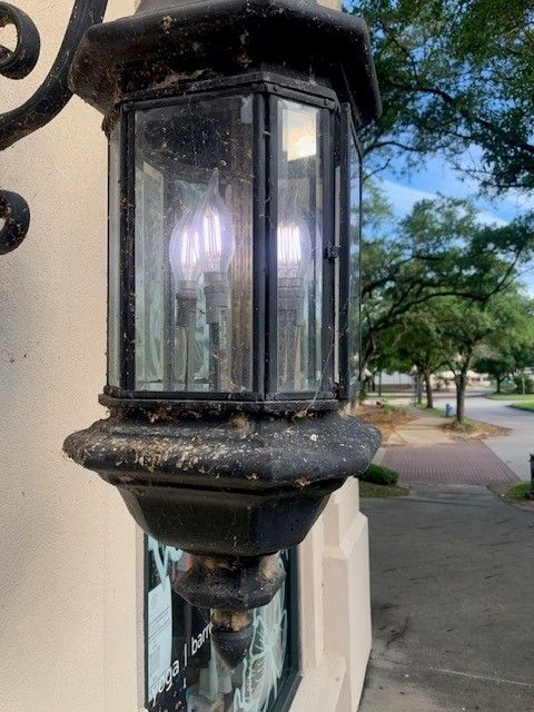 Weathered black metal lantern on a wall beside a sidewalk and trees.