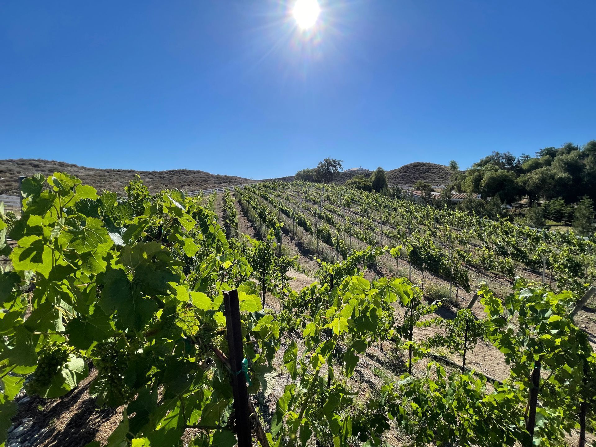 Wine by Lock4Cellars
