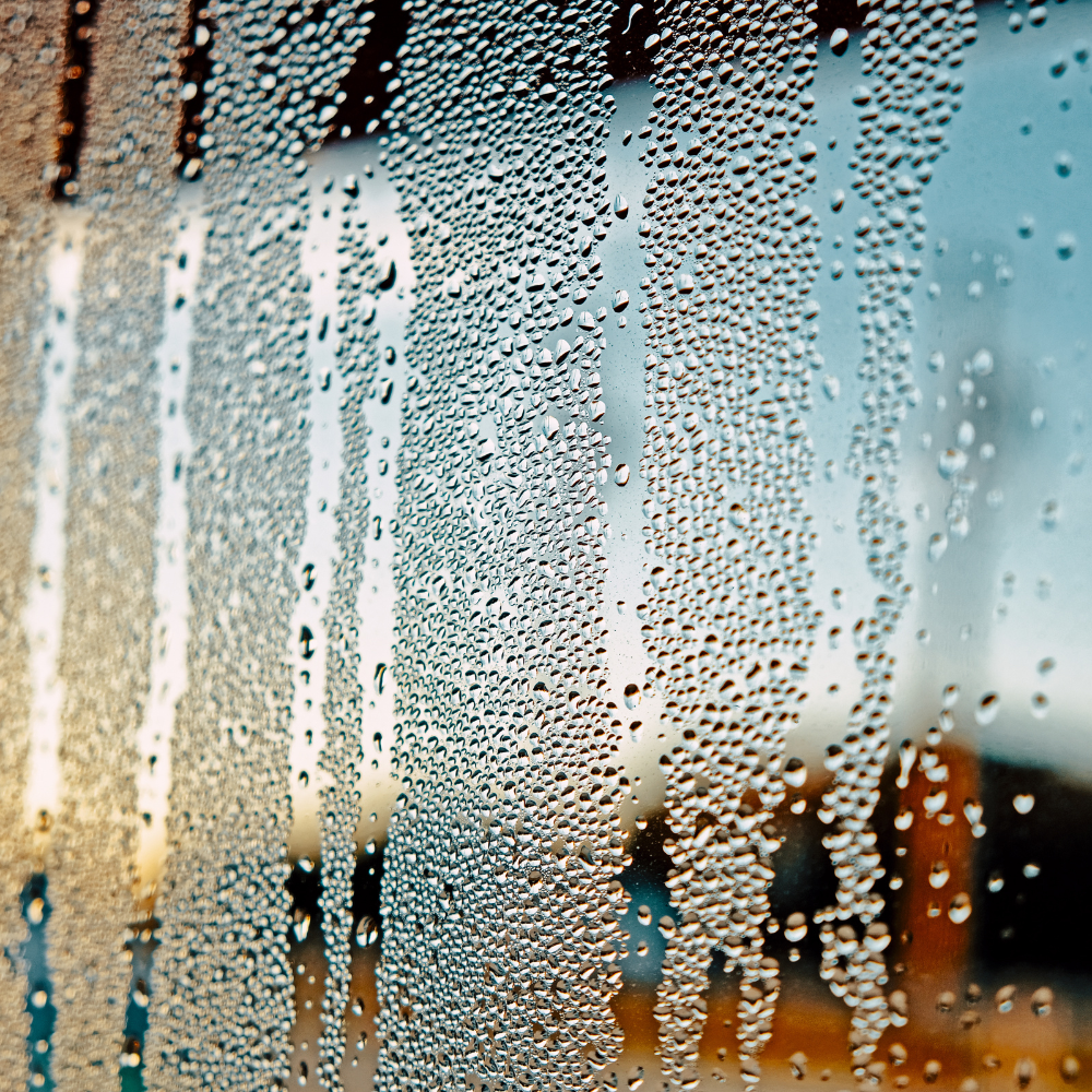A close up of rain drops on a window with a blurry background.