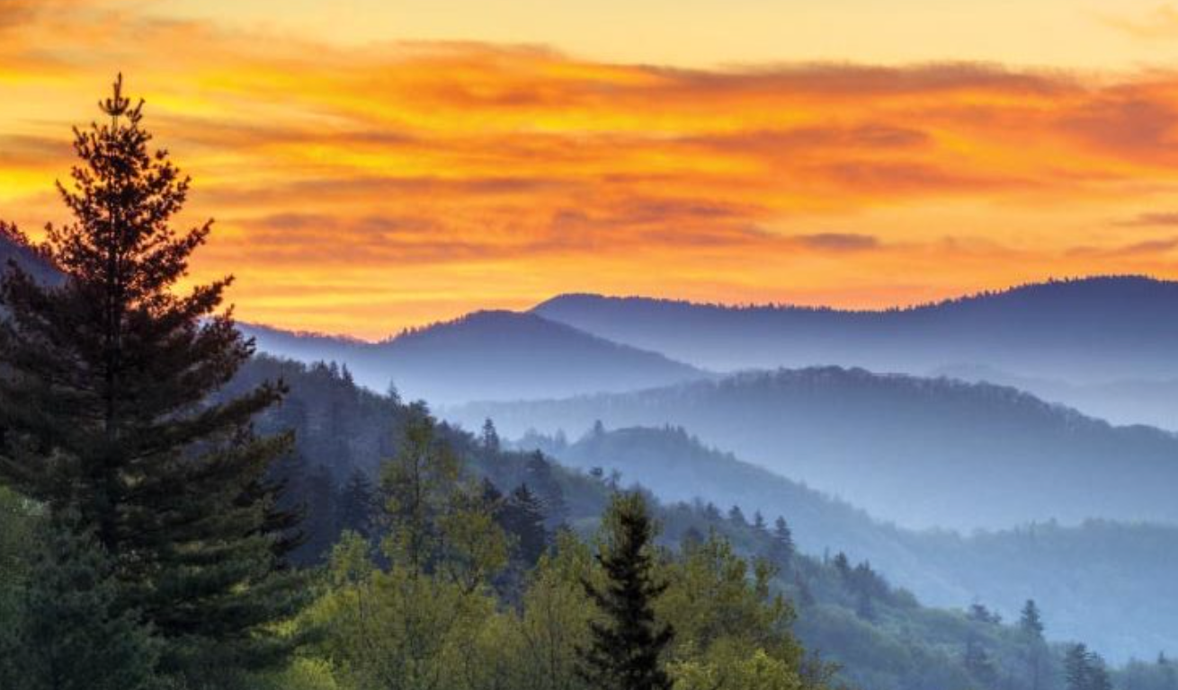 Sunrise over misty forested hills with silhouetted pine trees and a glowing orange sky