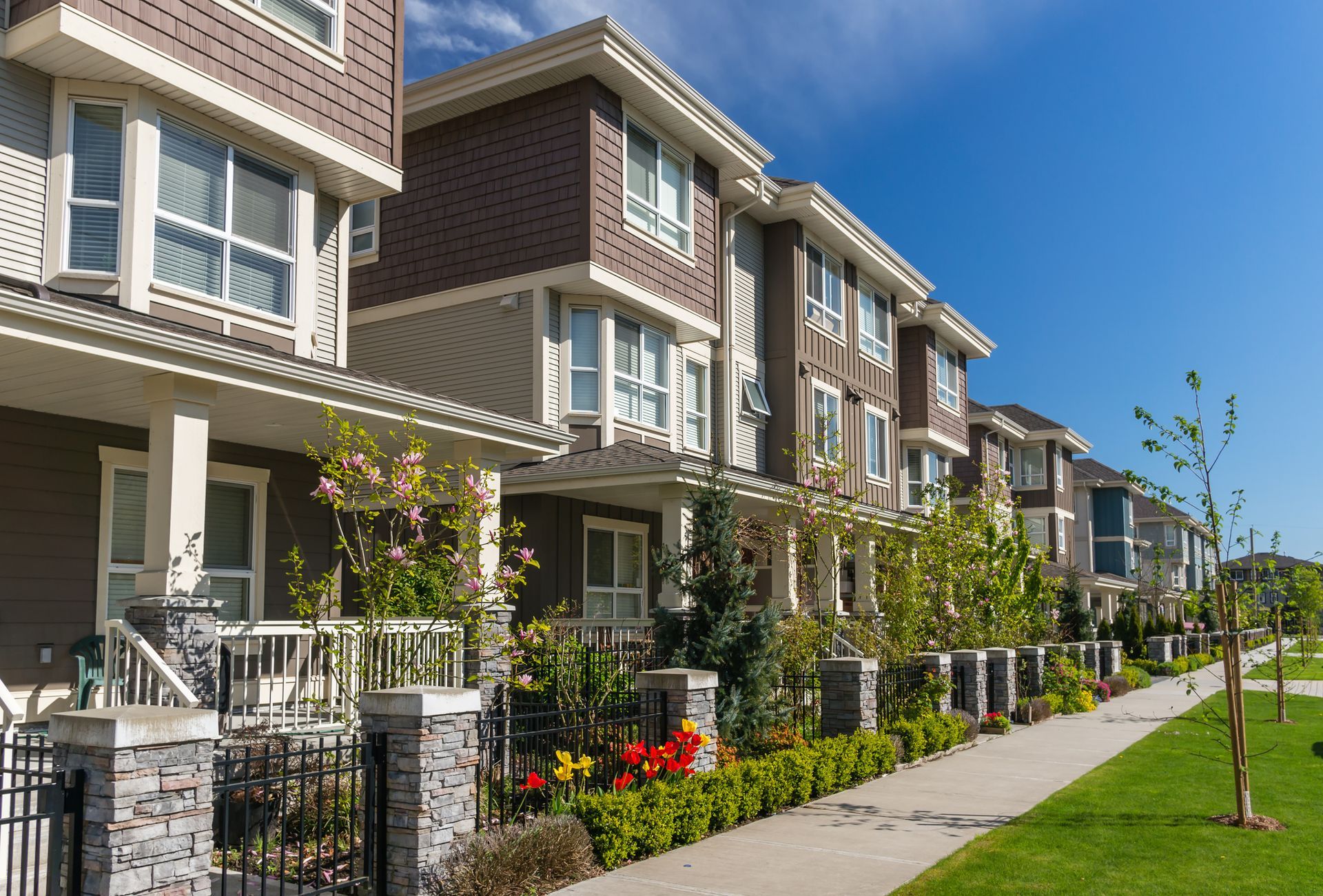 tonwhomes in row
