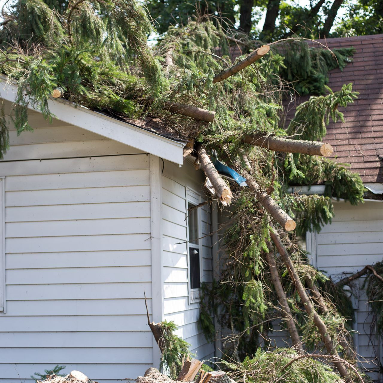 We Buy Damaged Homes for Cash