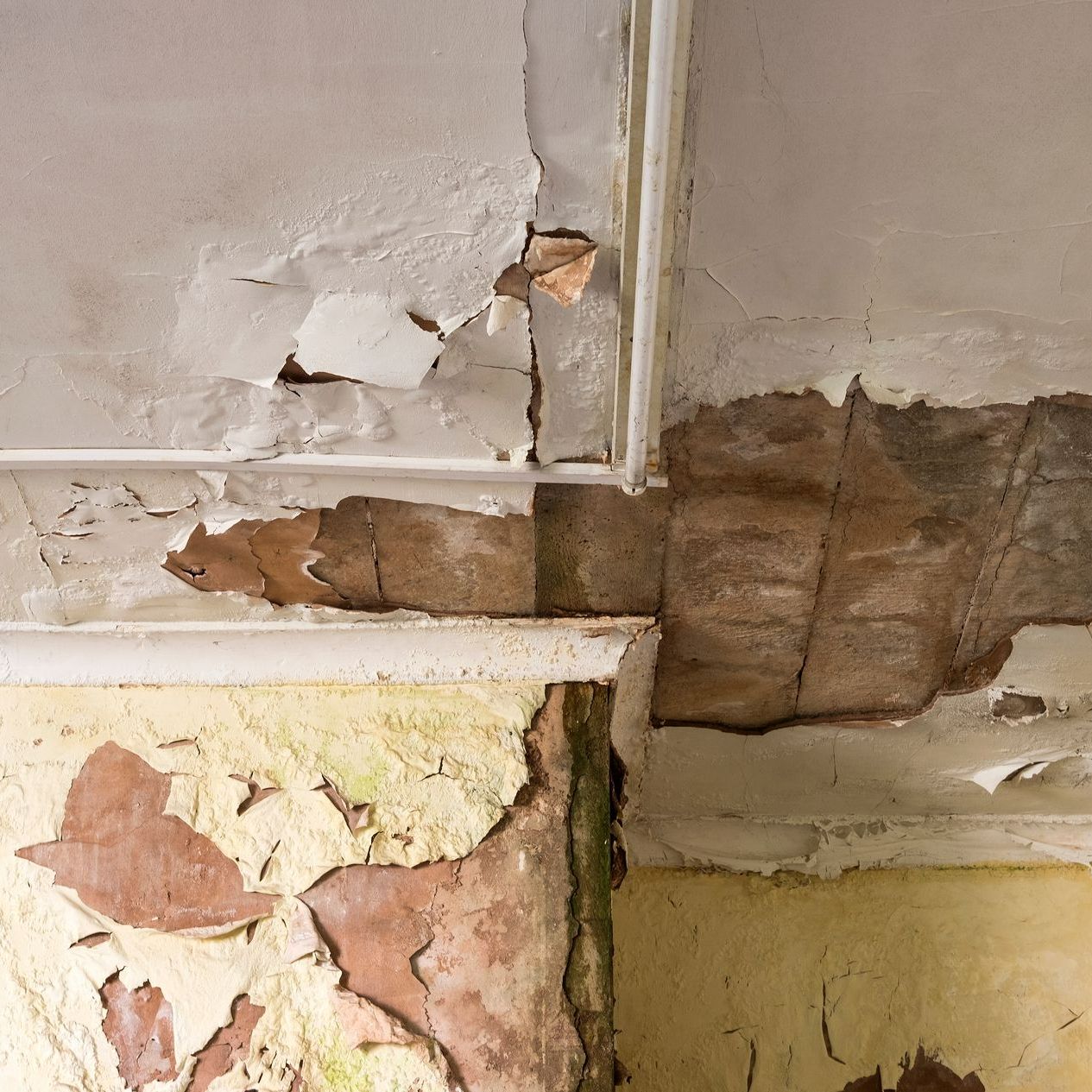 We Buy Homes in Disrepair