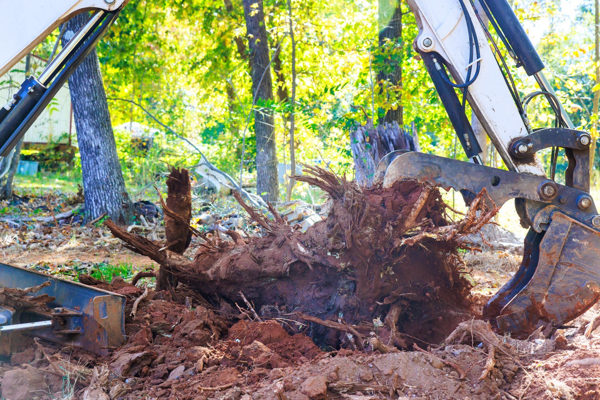 A large tree stump is being removed by a bulldozer.