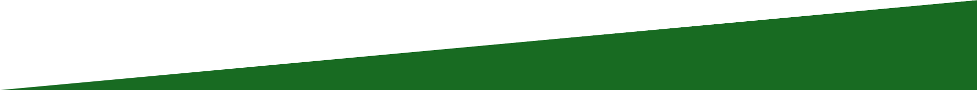 A close up of a green triangle on a white background. A close up of a green leaf on a white background.