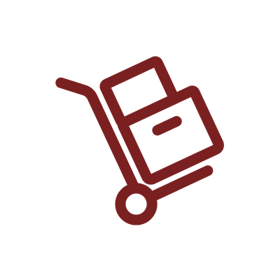 professional expert movers icon