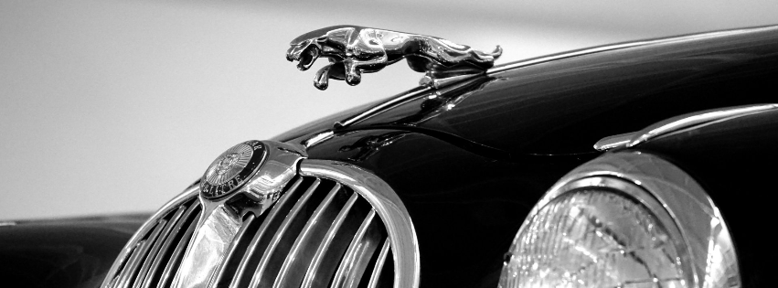 Jaguar Service in Franklin, MA
