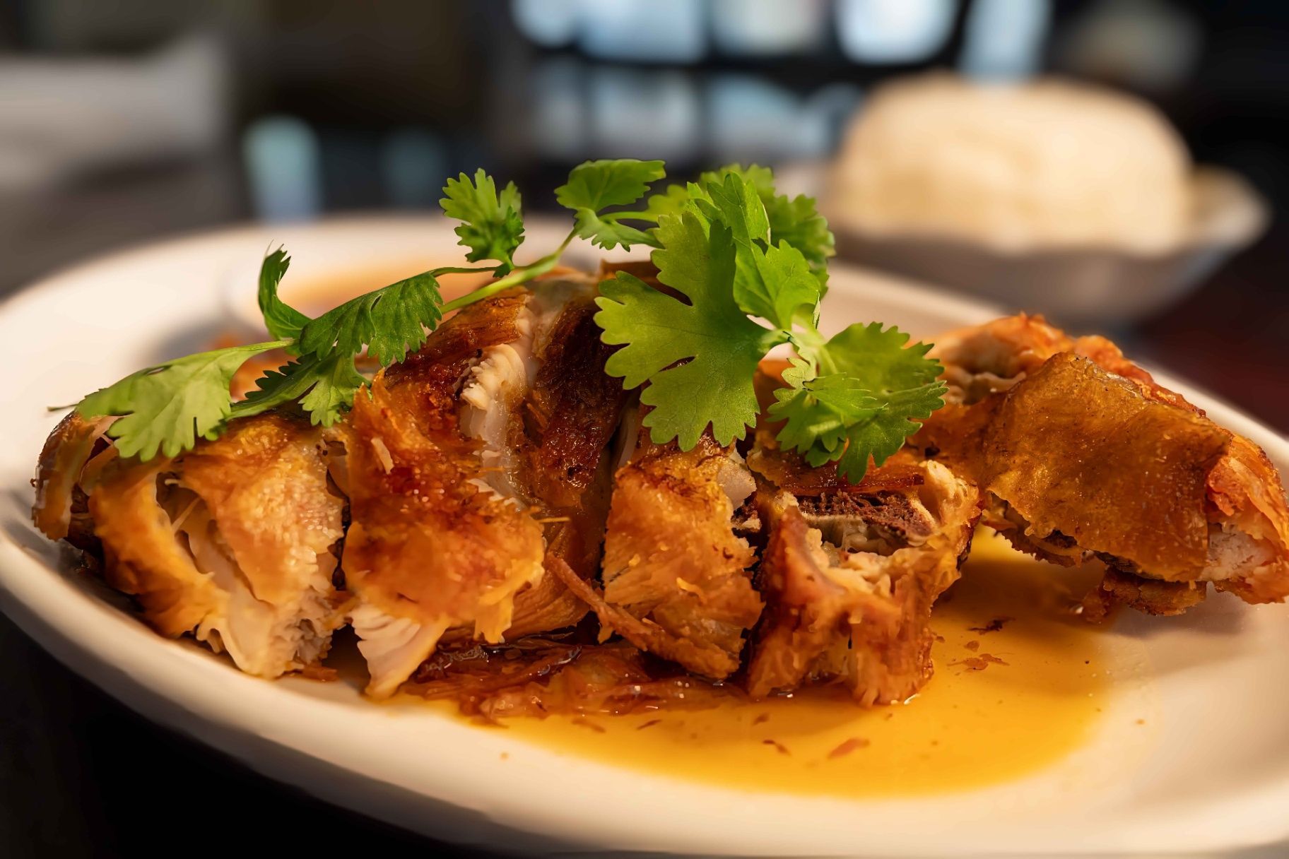 Sliced roasted chicken with cilantro garnish on a white plate, in warm brown sauce