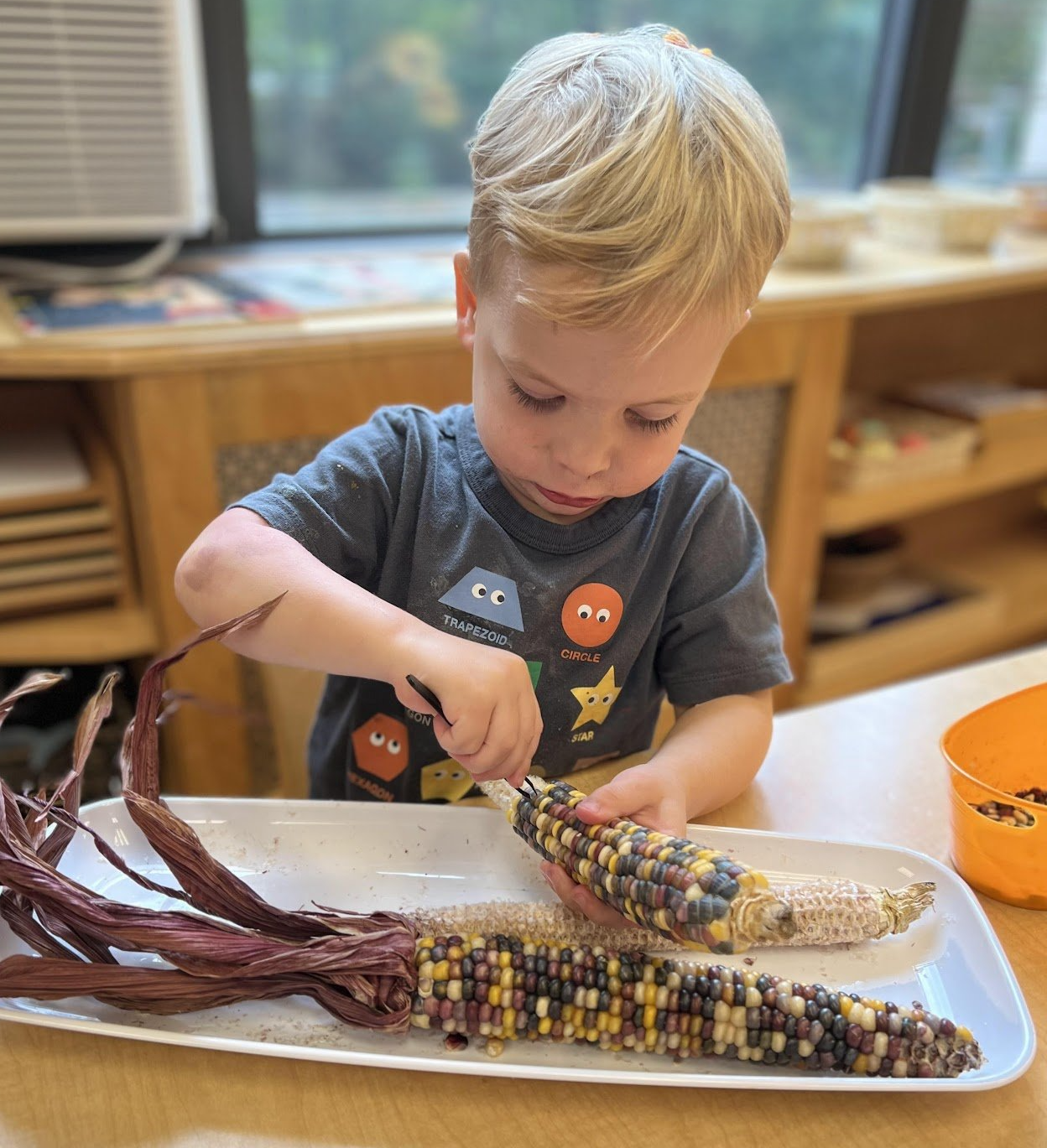 Montessori child working on fine motor skills