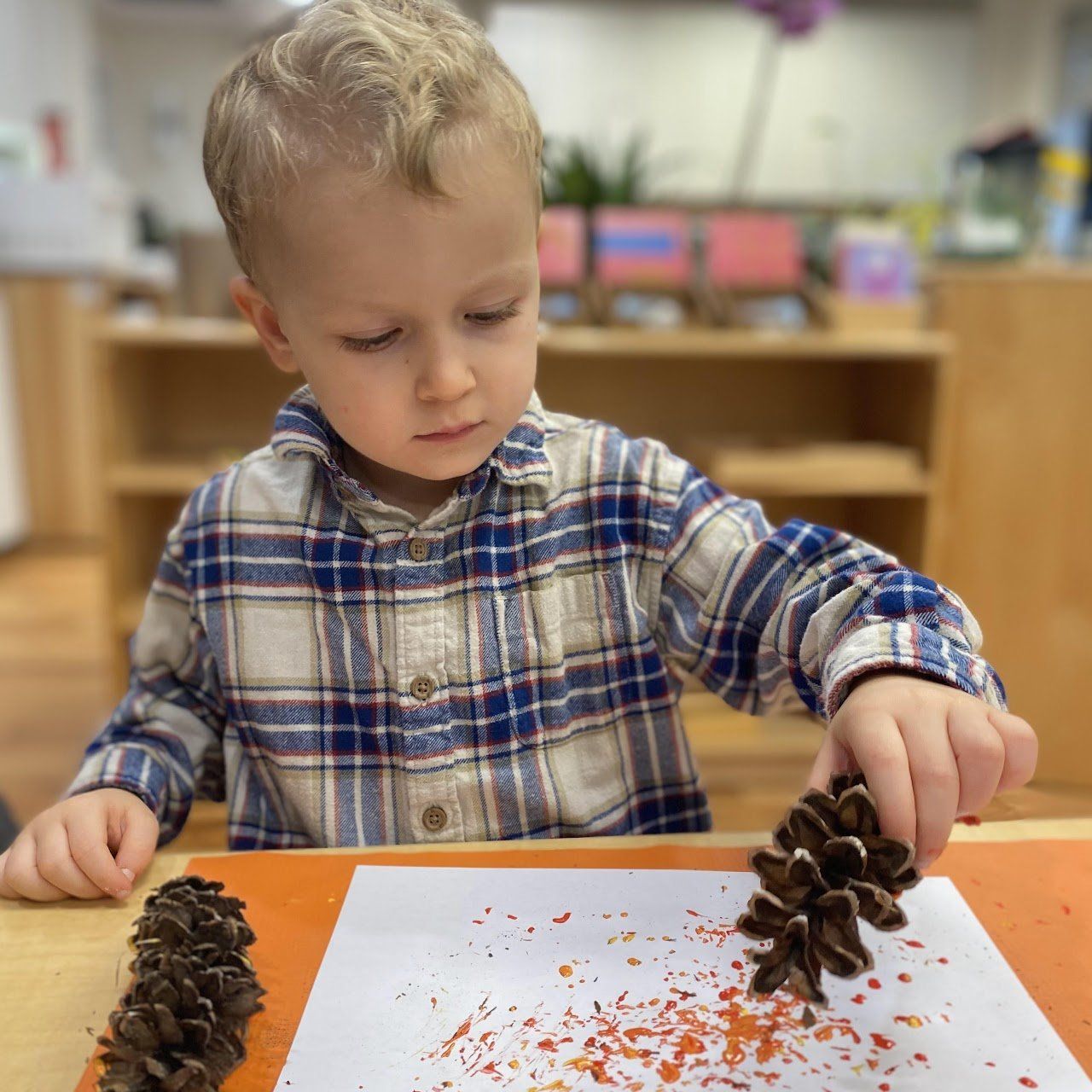 A young Montessori child is playing with pine cones and colorful flakes at a table.