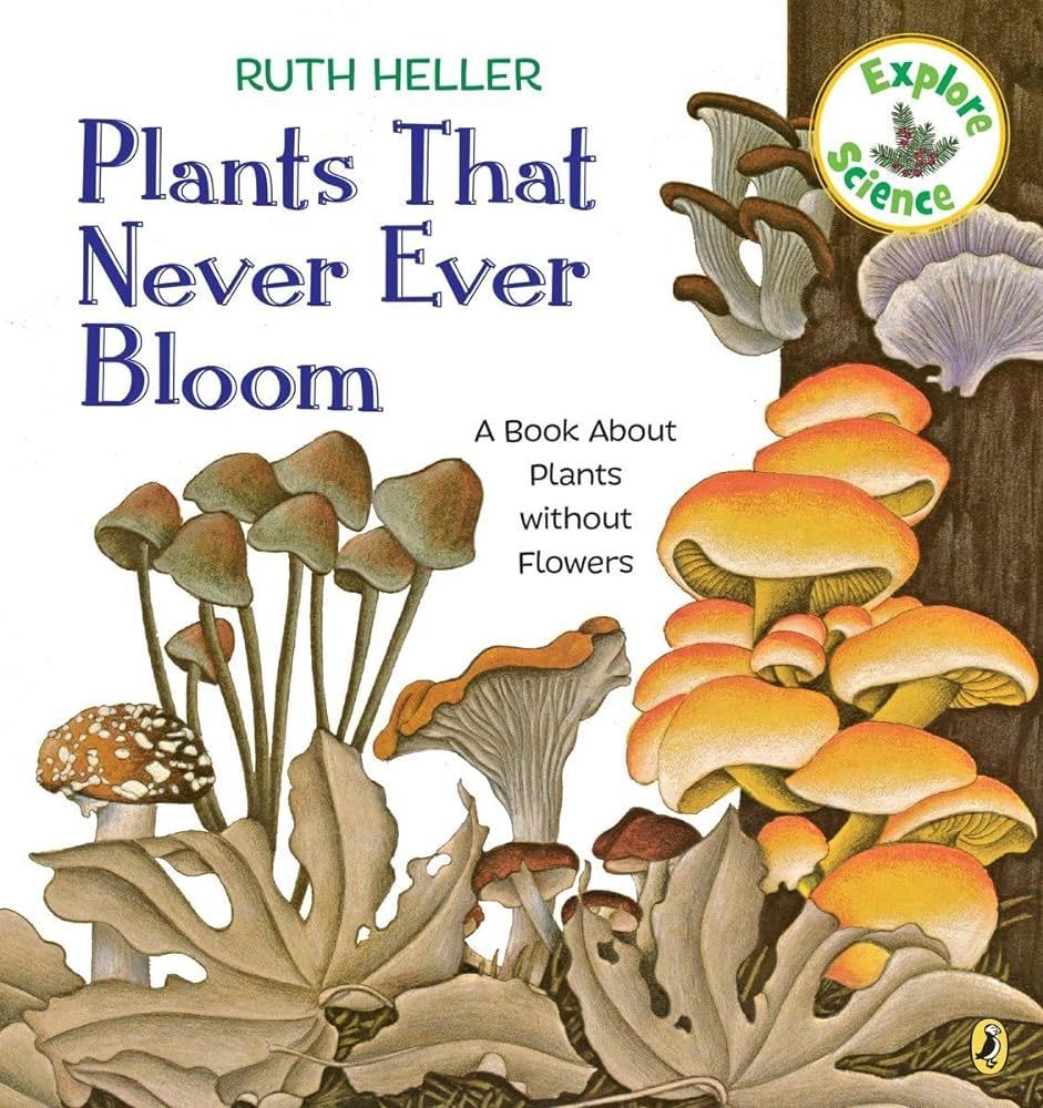 Book cover,