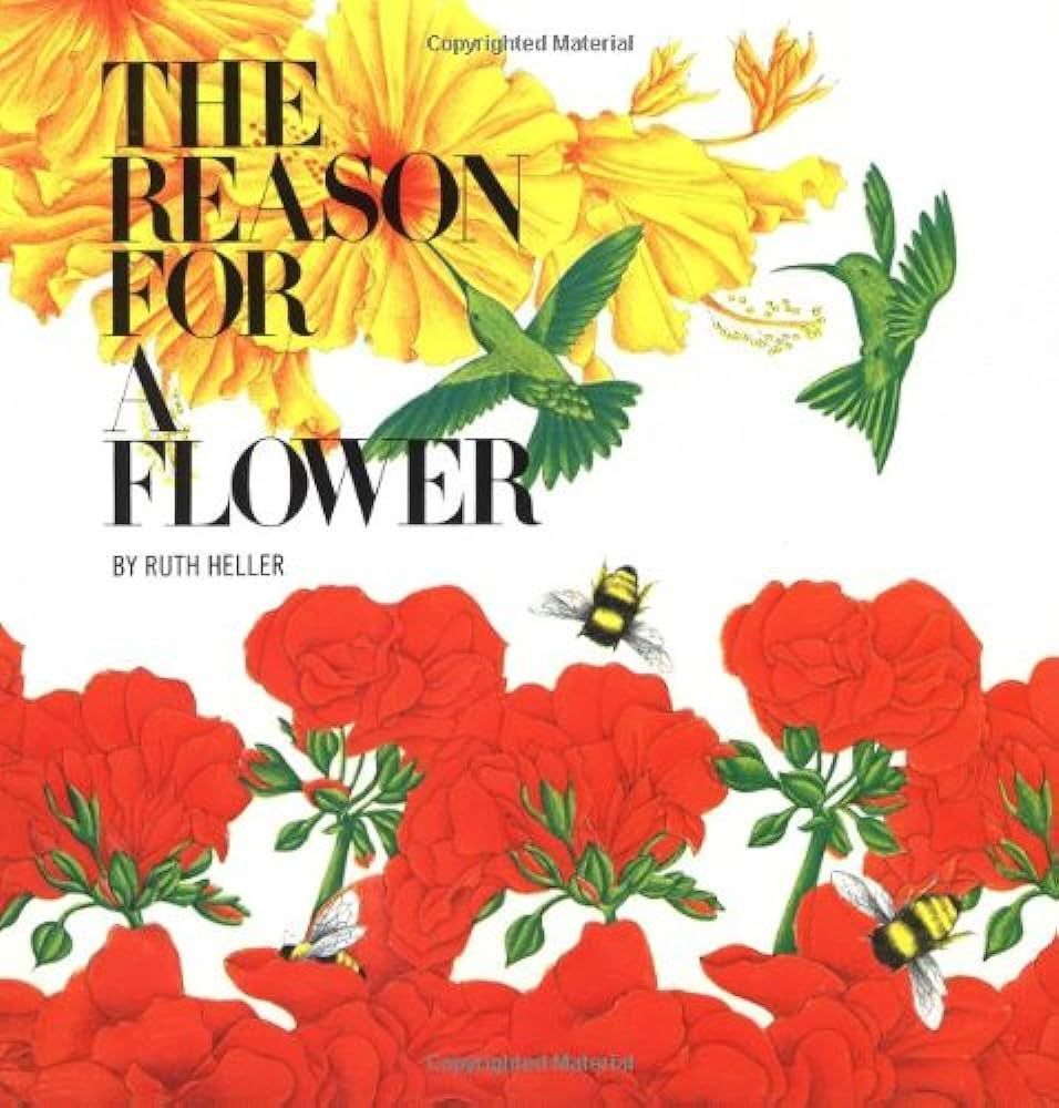 Book cover: Title