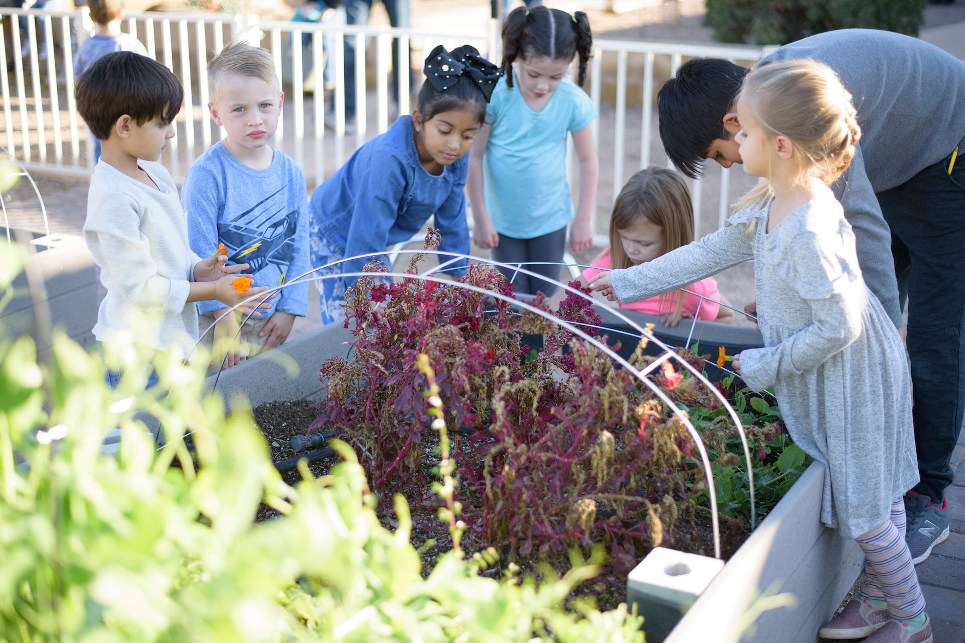 Children and an adult examine plants in an outdoor garden bed.