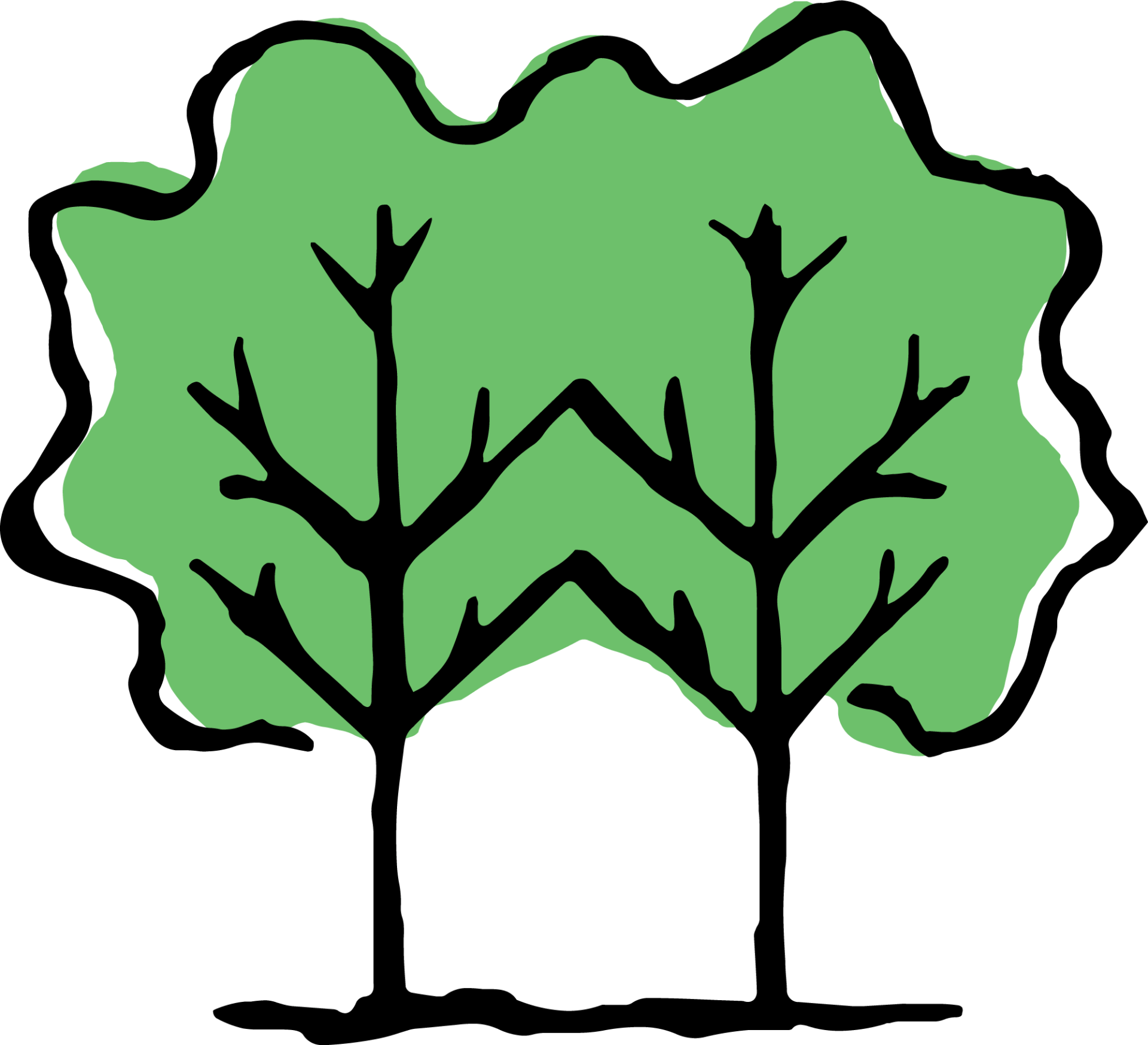 A drawing of two trees with green leaves on a white background.