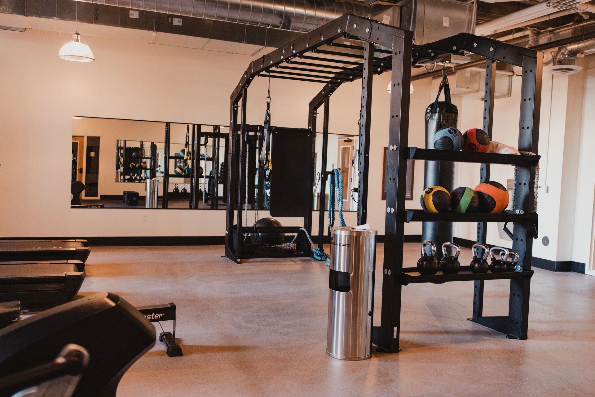 Gym interior with workout equipment: racks, weights, punching bag, and mirrored wall at Zenith Apartments in Duluth, MN.