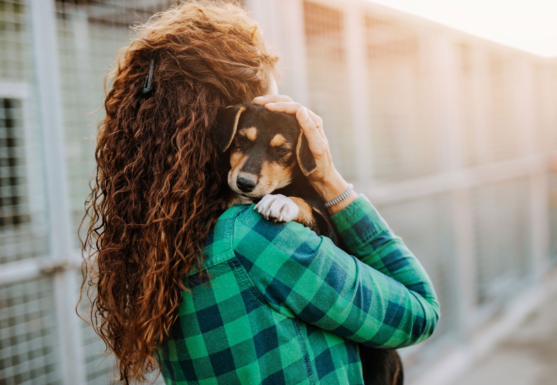 Woman with curly hair, green plaid shirt, holding a small dog outdoors near a chain-link fence.