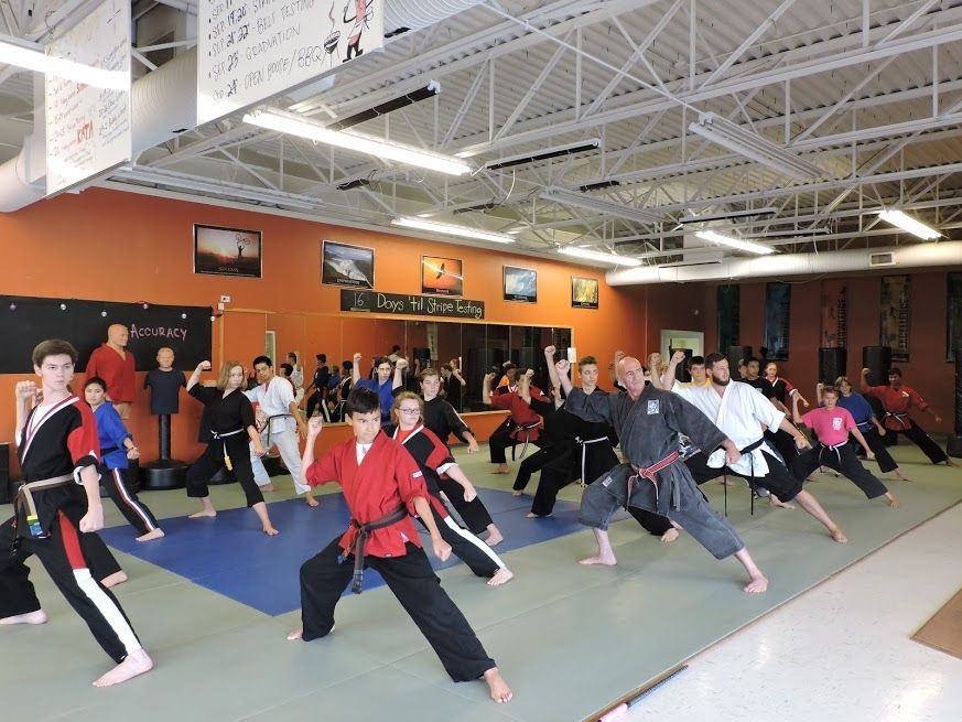 A group of people are practicing martial arts in a gym.