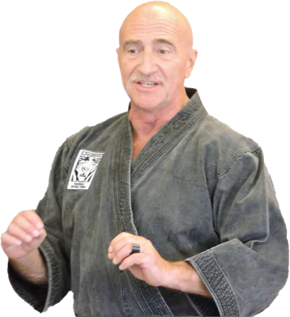a man wearing a black karate uniform with a tiger on it
