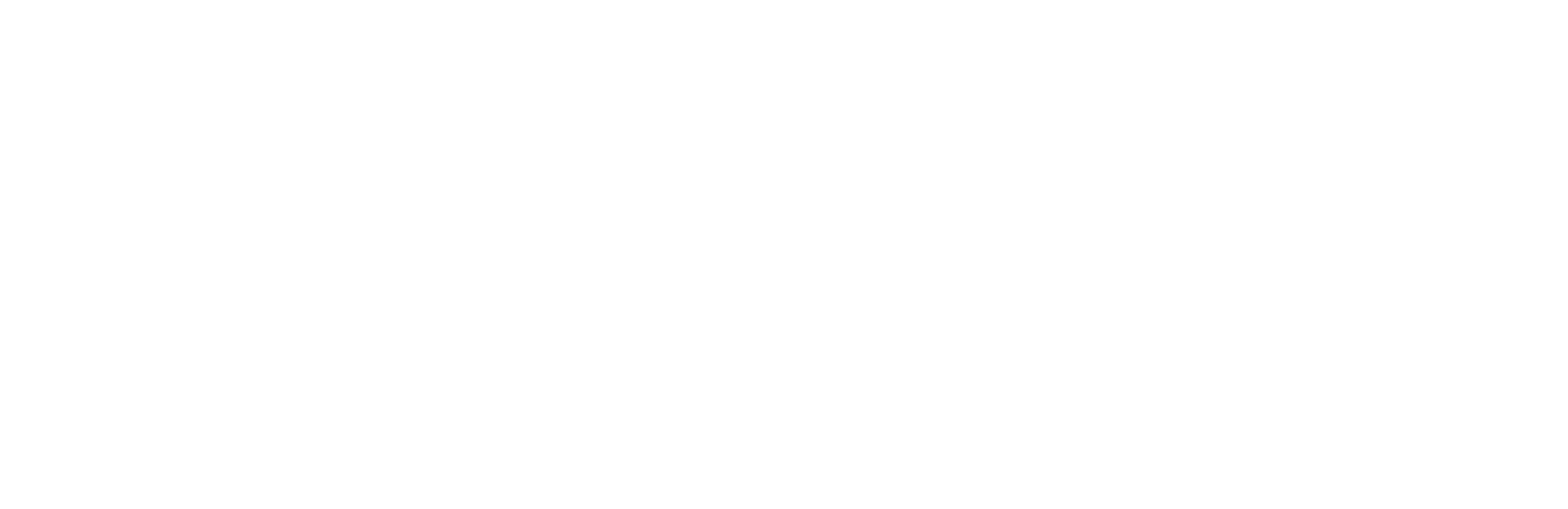  Brio logo
