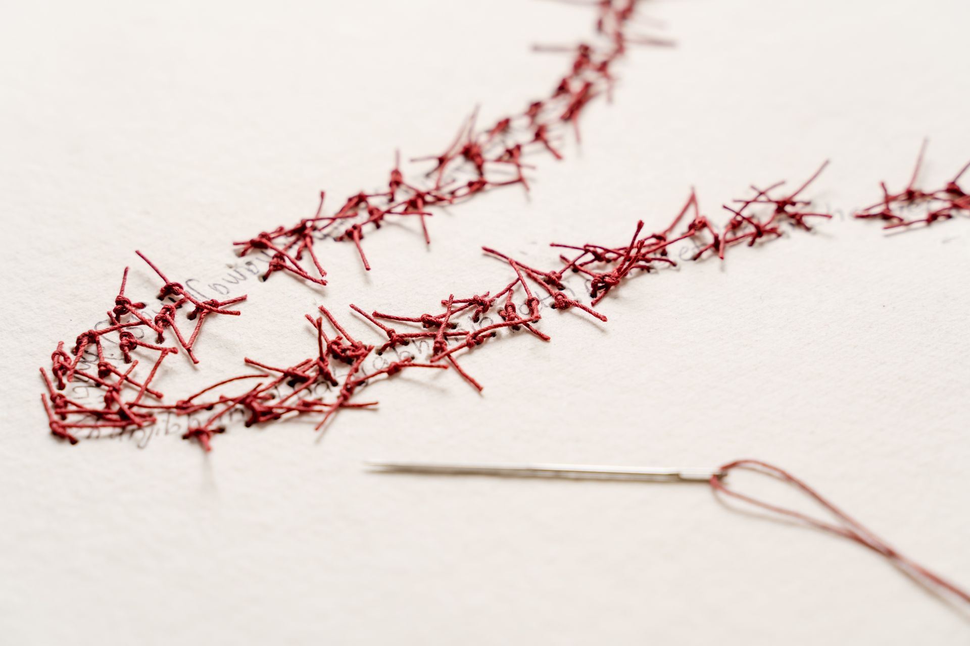 Red embroidery stitching on white fabric with a needle and thread.