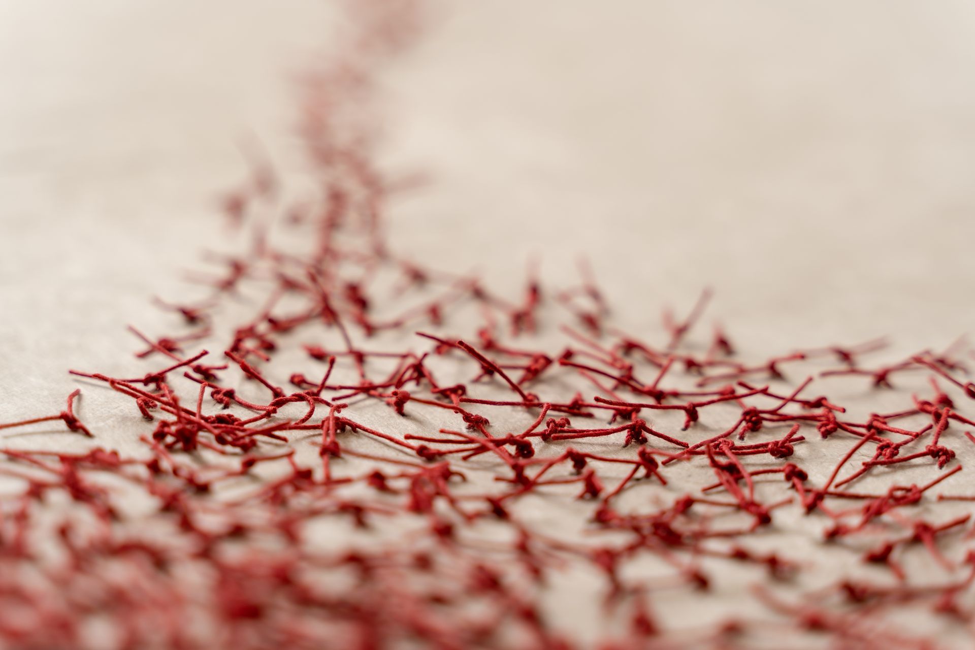 Red branches cluster on a beige surface, leading towards a blurred distant line.