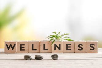  Employee Wellness Program