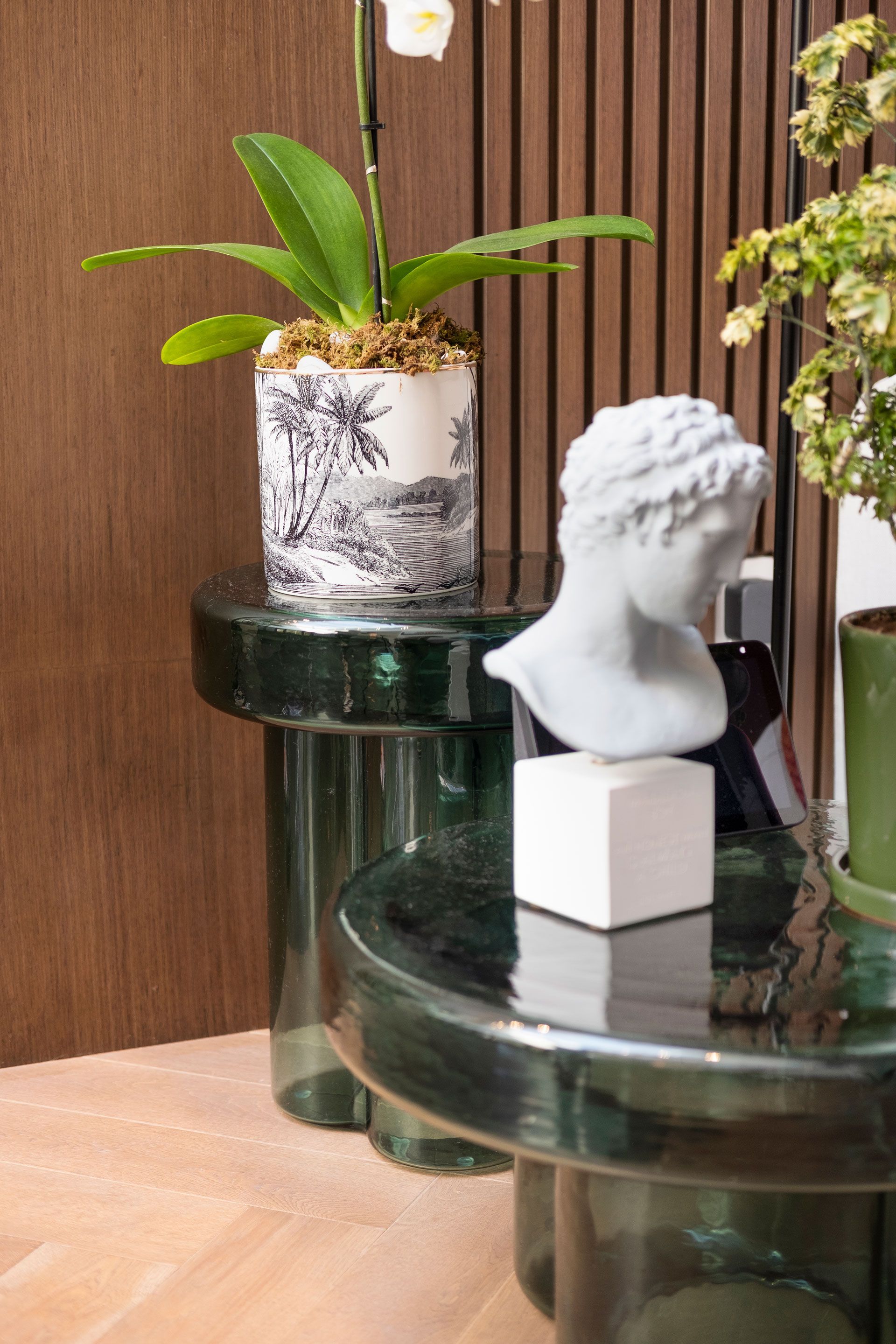 Escultura de busto blanco sobre una mesa de cristal junto a una pequeña planta en maceta.