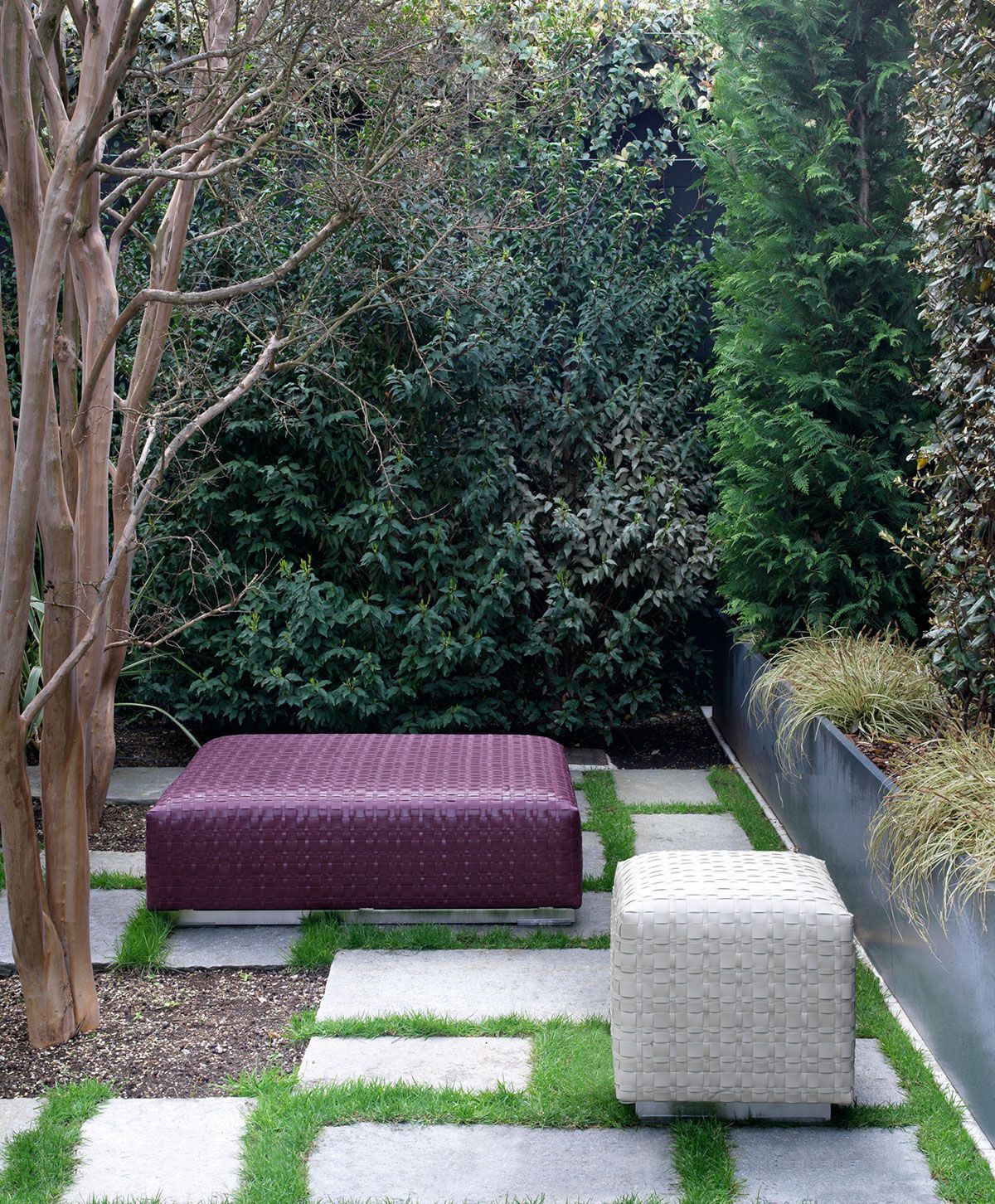Patio moderno con jardín, banco morado, otomana blanca y losas de césped junto a setos altos.