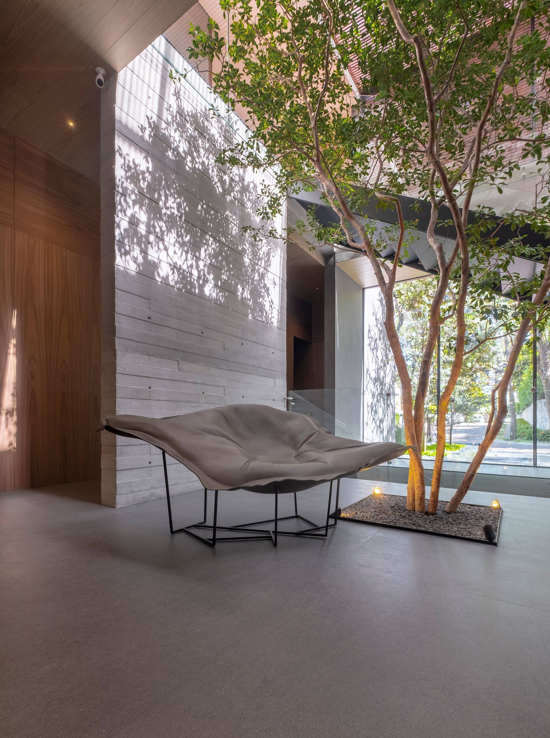 Vestíbulo moderno con una tumbona escultural y un árbol de interior junto a una pared luminosa.