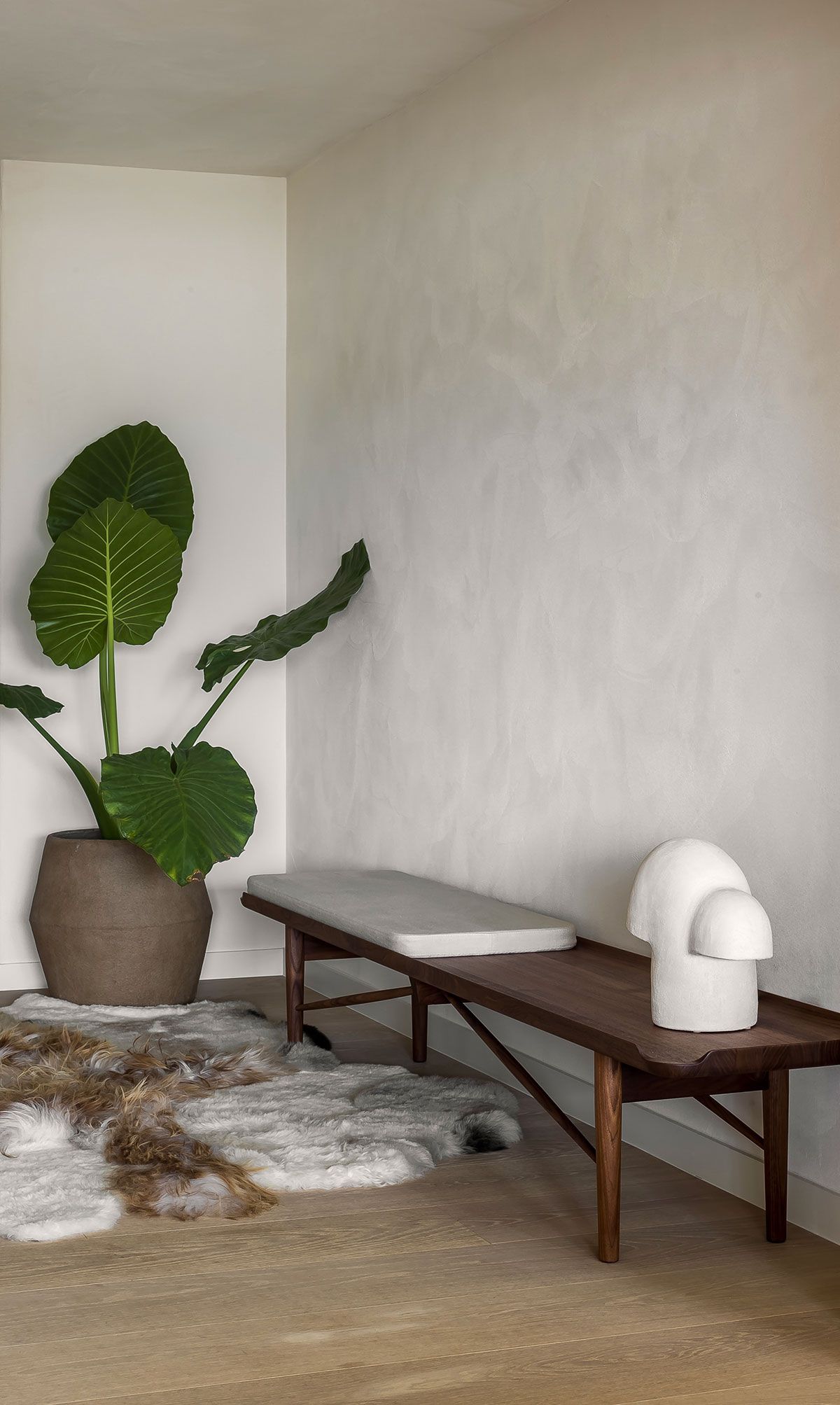 Rincón de habitación minimalista con una gran planta en maceta, un banco de madera y una escultura abstracta blanca