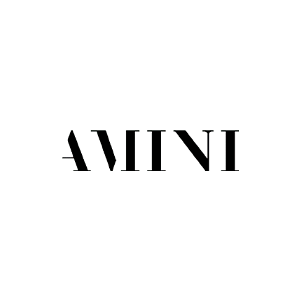 Logotipo tipográfico en negro con serifa “AMINI” sobre fondo blanco.