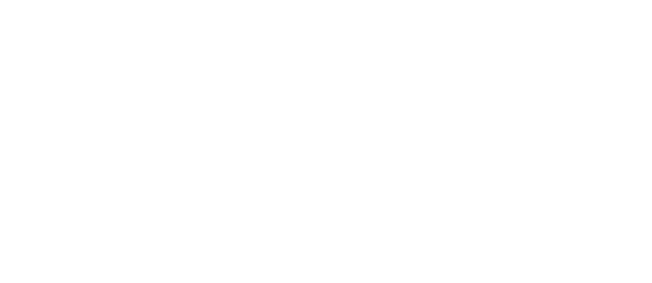 Imagen mayormente blanca, con un pequeño rectángulo delineado en negro cerca del centro inferior.