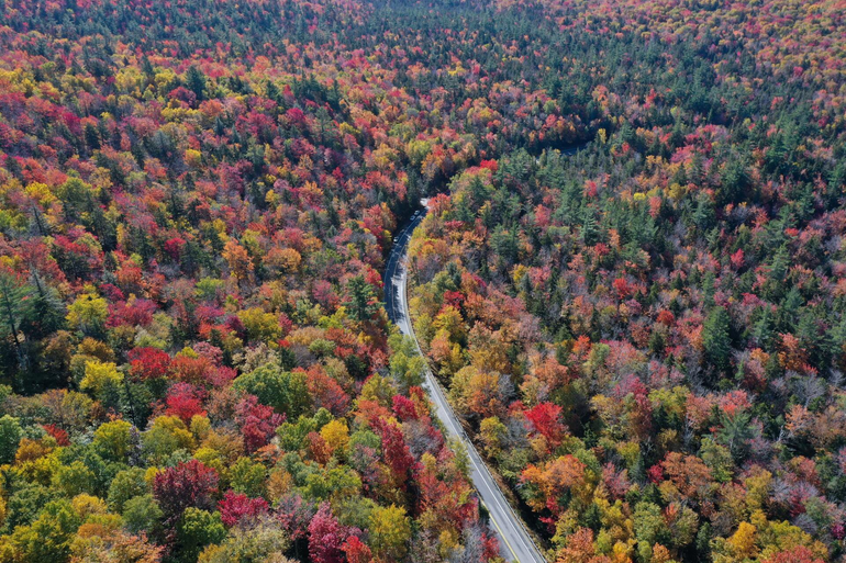 “Aerial view of a winding road through a dense forest with colorful fall foliage.”