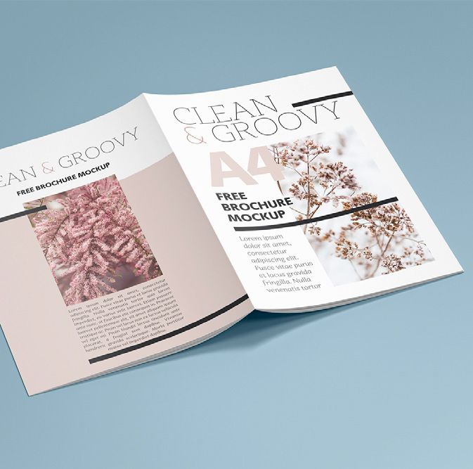 Aufgeklappte Broschürenvorlage auf blauem Untergrund mit dem Text „Clean & Groovy“ und floralen Fotografien.