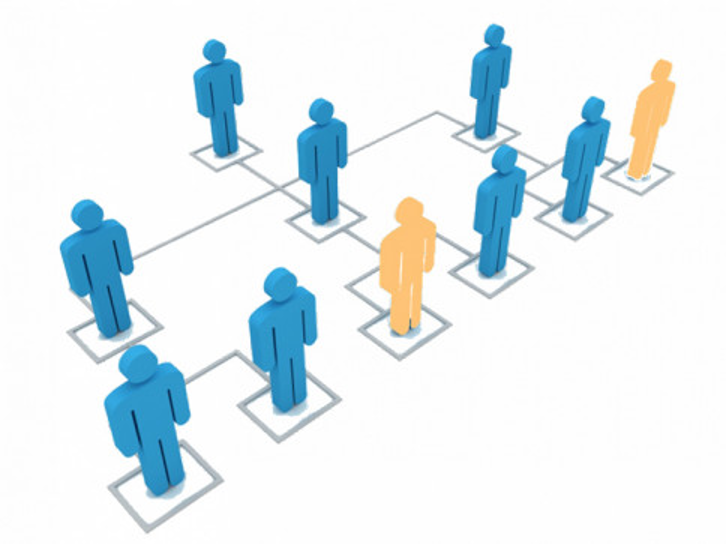 Organization chart