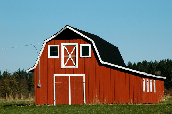 Red barn with white trim and black roof in a grassy field under a blue sky