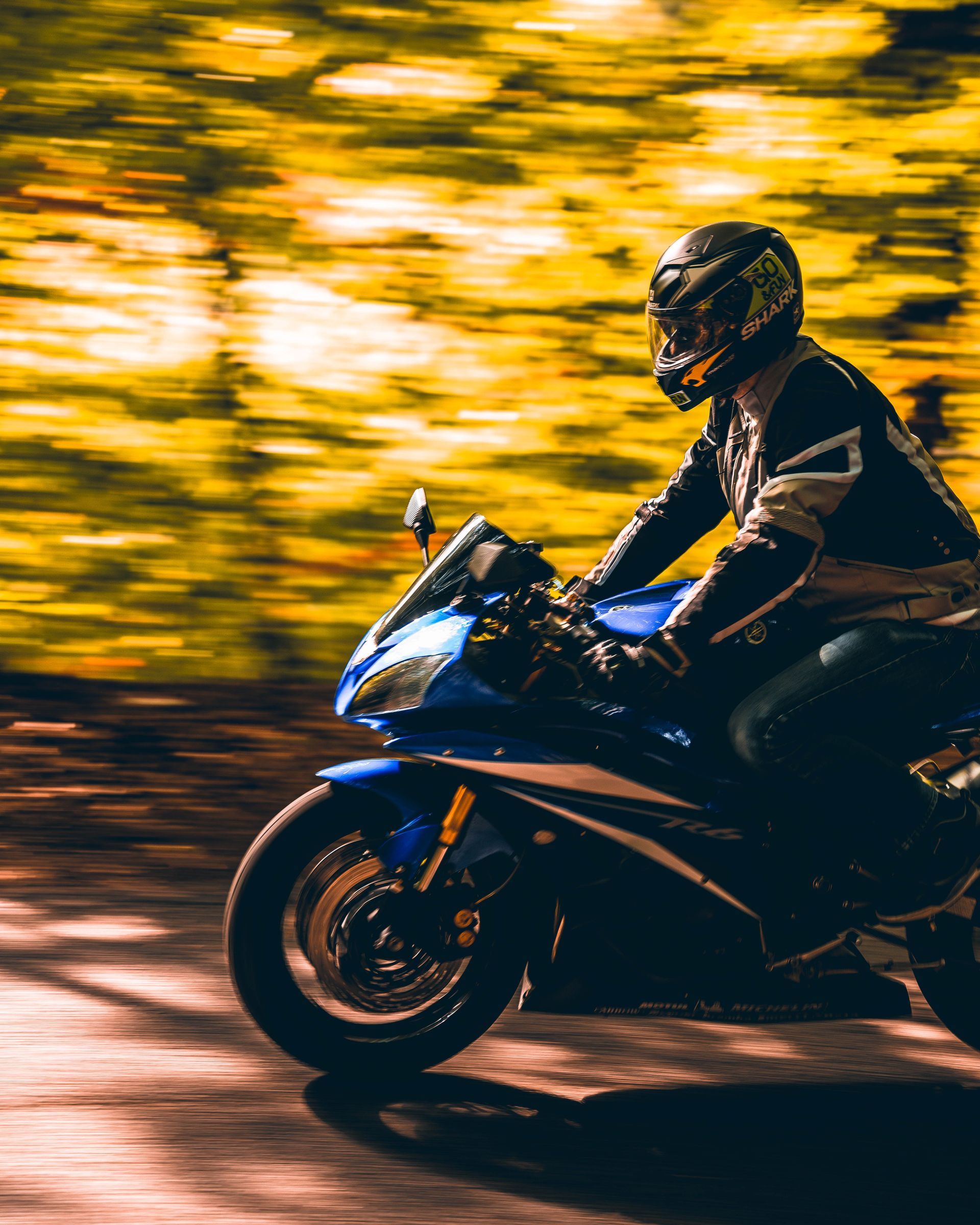 Motorcyclist riding a blue sportbike through a blurred golden forest at dusk