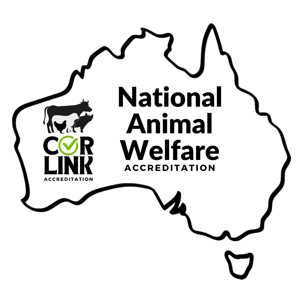 A green silhouette of a cow and a calf on a white background with the CoRLink Logo and national animal welfare accreditation