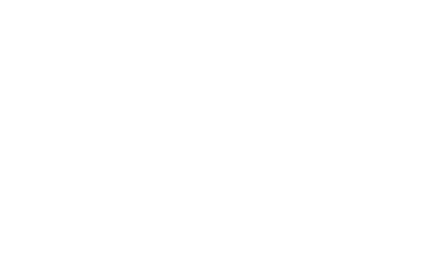 Alondra Lopez Bilingual Realtor