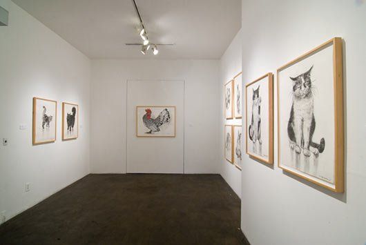 A hallway with pictures of a cat and a rooster on the wall