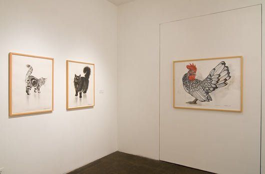A room with three paintings of a cat and a rooster on the wall.