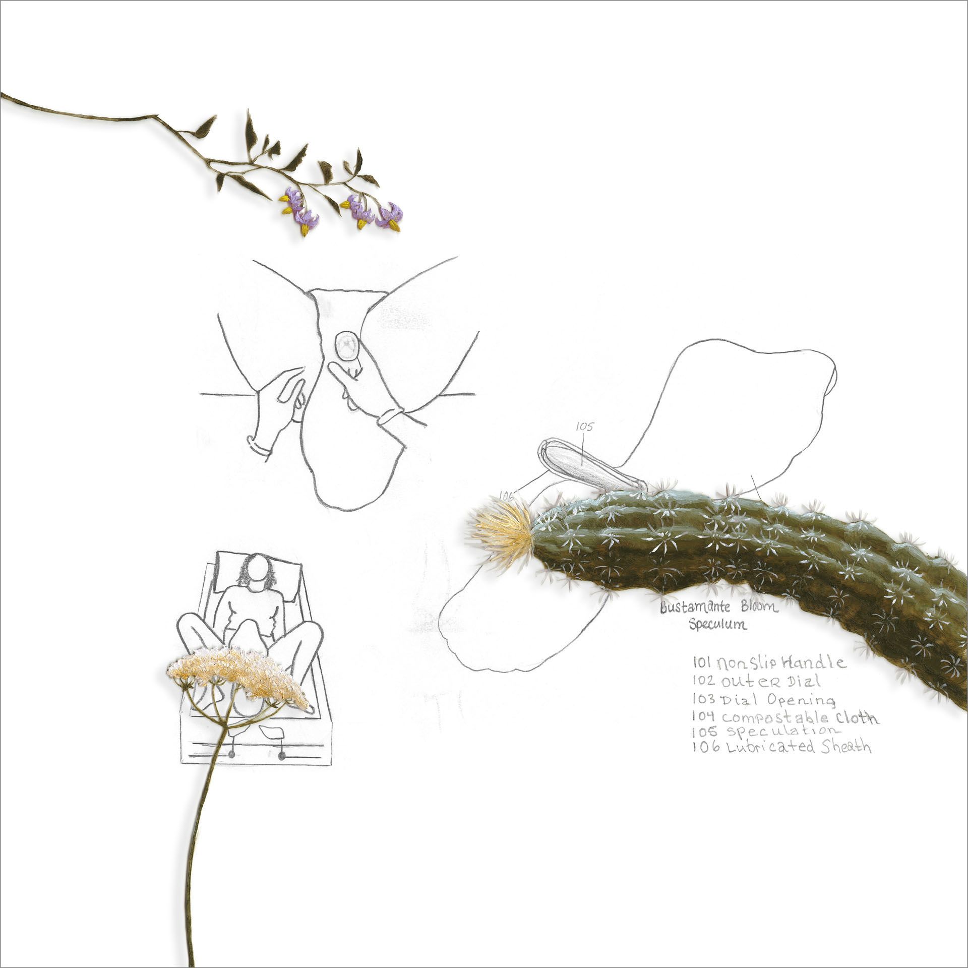 A drawing of a flower and a cactus on a white background