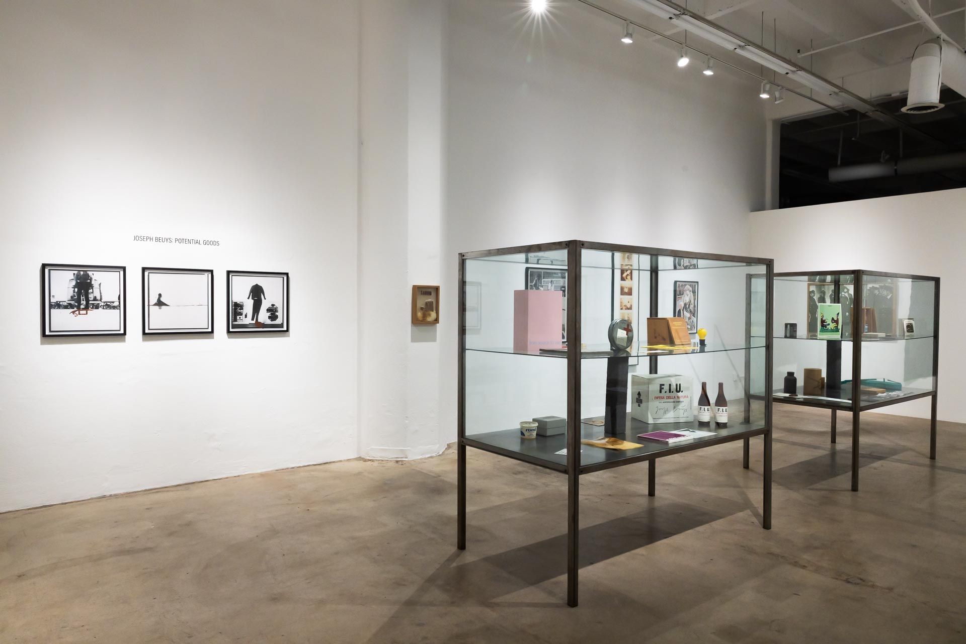 Installation view of Joseph Beuys exhibition.