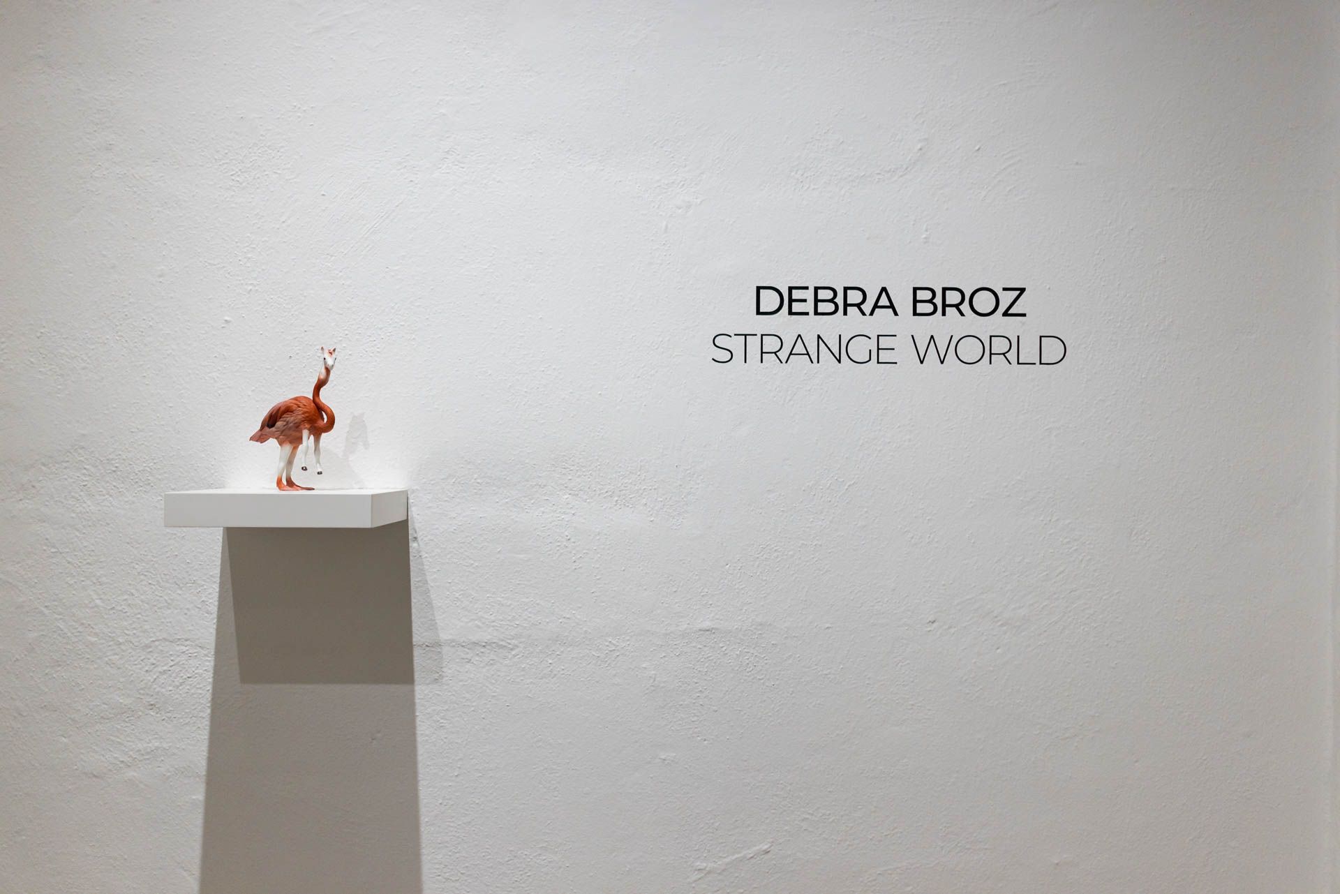 Small ceramic bird on a wall shelf beside title text, a white coral-like sculpture on a pedestal, and a yellow wall hung with painted plates. Installation view, Debra Broz: Strange World, Track 16.