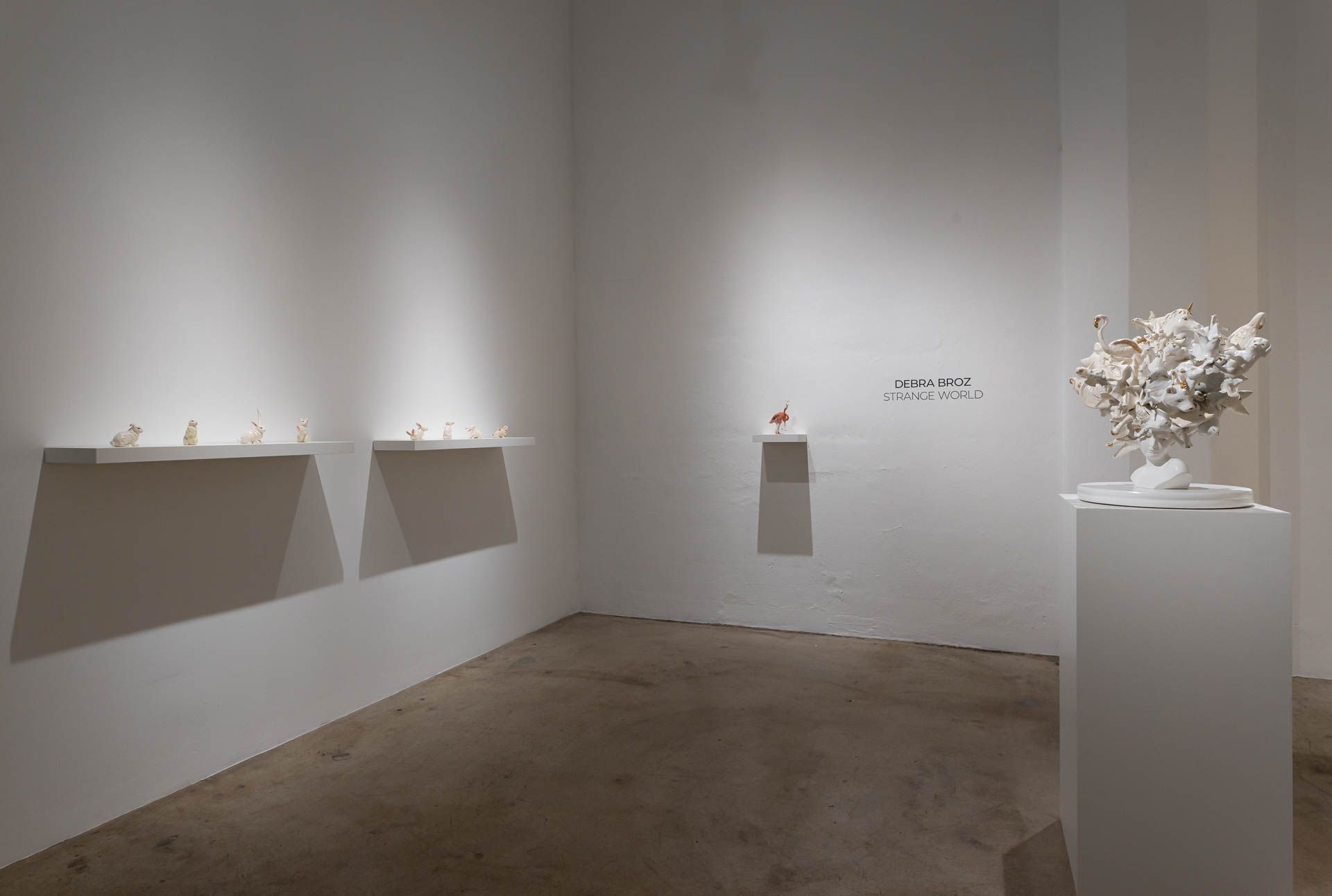 Rows of small white ceramic animals on white wall shelves, with title text and a white coral-like sculpture on a tall white pedestal. Installation view, Debra Broz: Strange World, Track 16