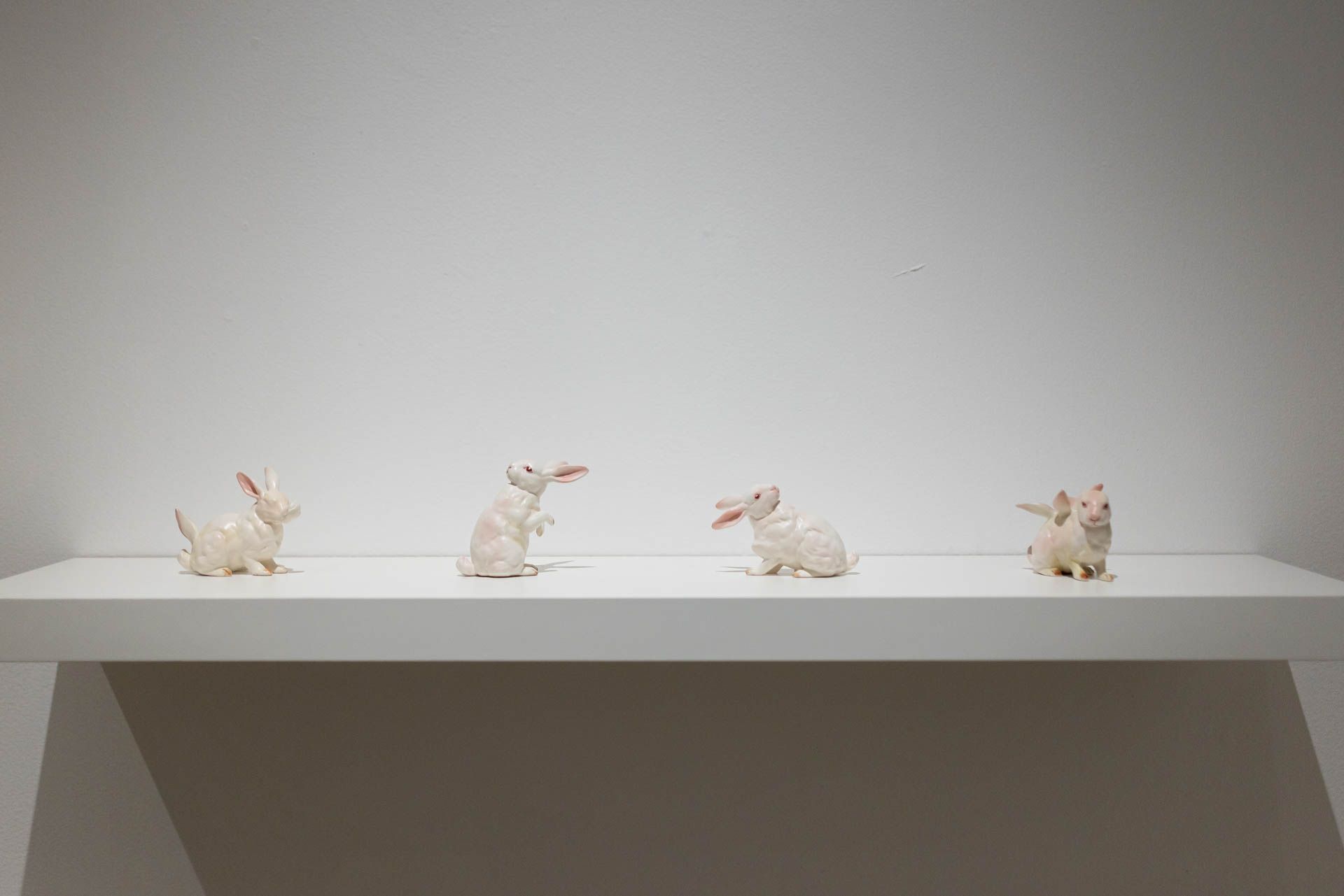 White wall shelf holding four small white ceramic rabbits. Installation view, Debra Broz: Strange World, Track 16.