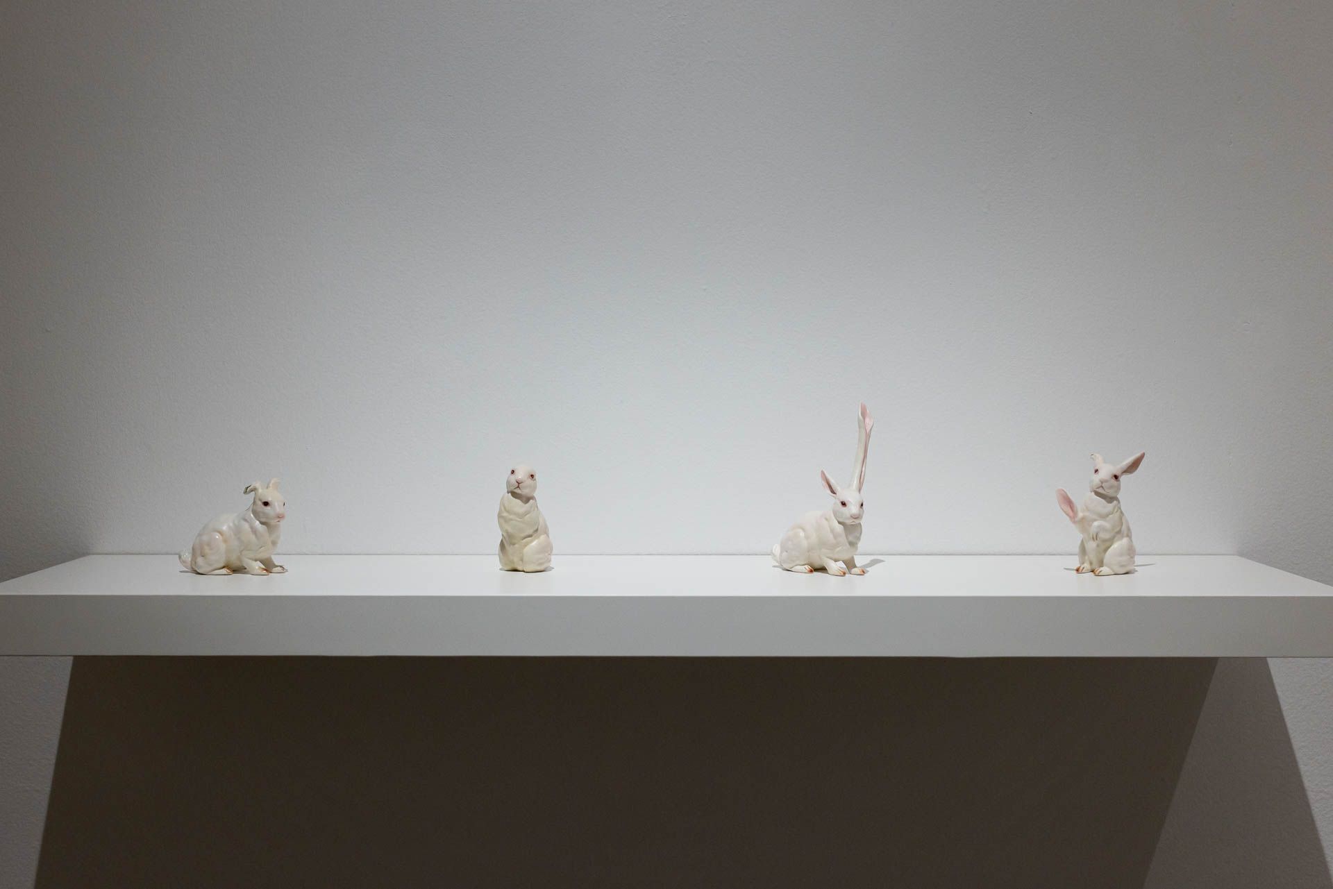 White wall shelf holding four small white ceramic animals: rabbits and a creature with antlers. Installation view, Debra Broz: Strange World, Track 16.